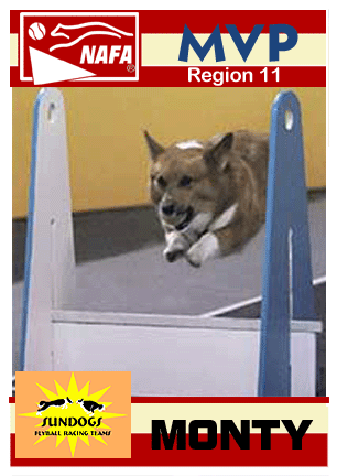 Region 11 - Monty