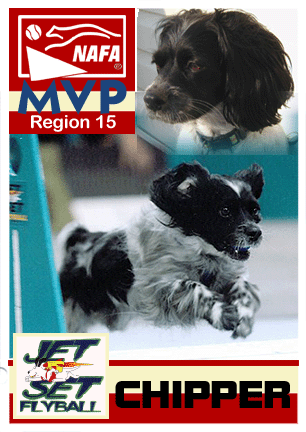 Region 15 - Chipper