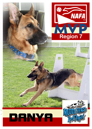 Region 7 - Dayna