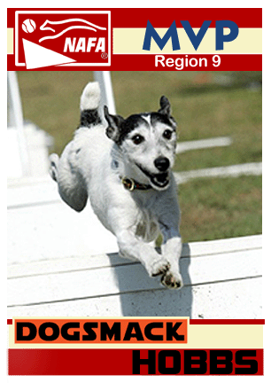 Region 9 - Hobbs