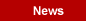 Flyball News section
